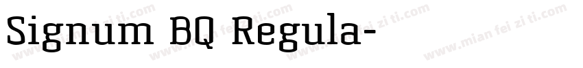 Signum BQ Regula字体转换